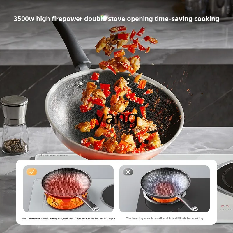 CX platinum diamond induction  - Induction Cooker review and price